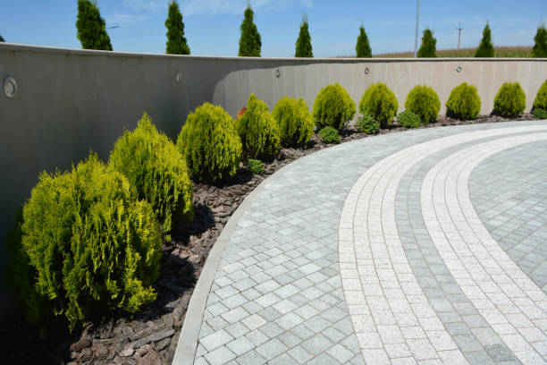 Best Driveway Pavers Cost  in Savannah, GA